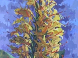 Gėlė (Hedychium) 2005.